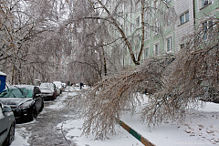 Чем опасен ледяной дождь?